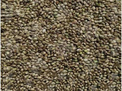 Semenec (konope) 1kg